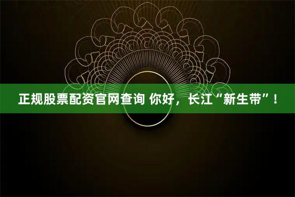 正规股票配资官网查询 你好，长江“新生带”！