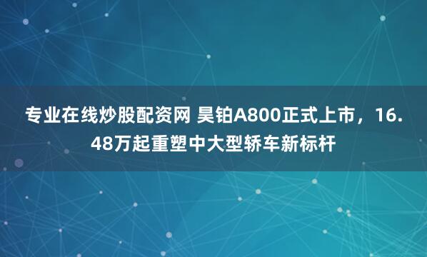 专业在线炒股配资网 昊铂A800正式上市，16.48万起重塑中大型轿车新标杆
